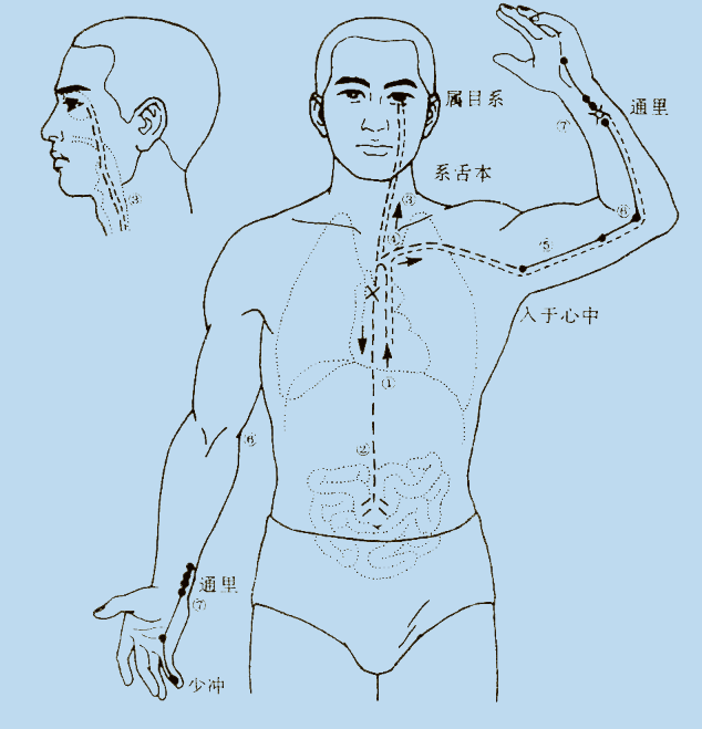 为什么说吃西药等于动刀子？(图3)